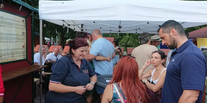 Vstupenky na 1. ročník vínneho festivalu WineFest Galanta