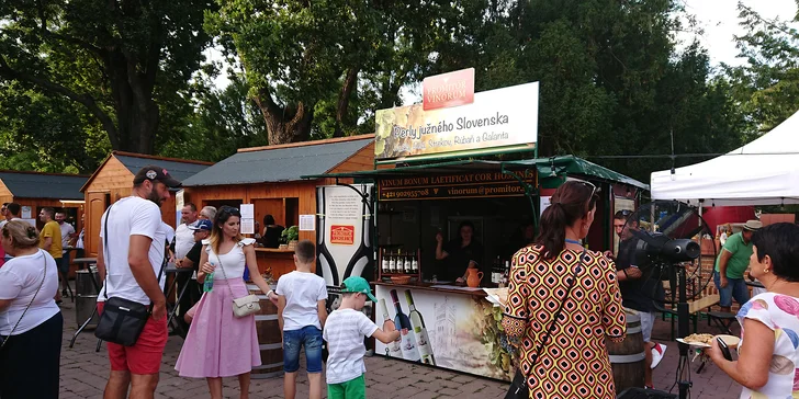 Vstupenky na 1. ročník vínneho festivalu WineFest Galanta