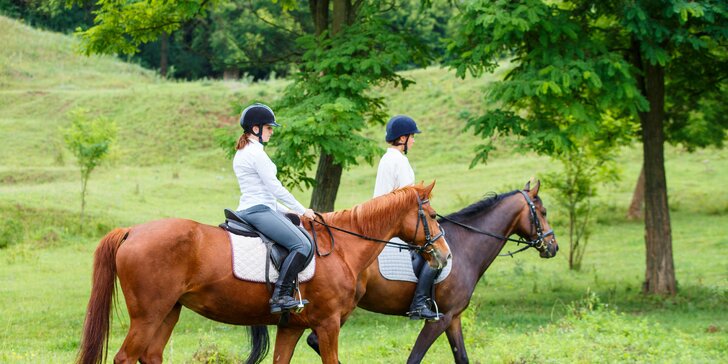 Lekcie jazdy či vychádzka na koni do prírody s inštruktorom