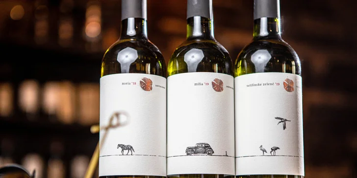 Degustácia slovenských vín v znovuotvorenom bare VYdrica