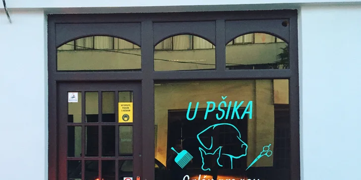 Dokonalá starostlivosť o vášho psíka - kúpanie, strihanie, čistenie očí i uší