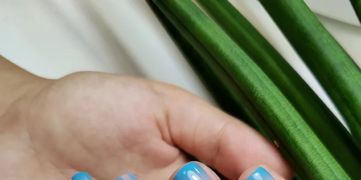 Nádherne upravené a zdravé nechty na rukách i nohách
