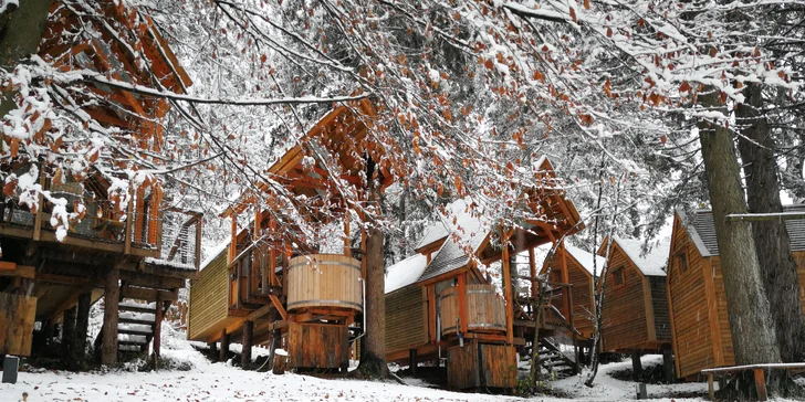 Luxusný glamping s raňajkami: drevený domček v lese až pre 4 osoby, horúca kaďa na terase, sauna i masáž