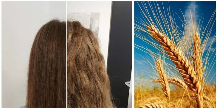 Účinné vlasové terapie s trichogramom v salóne R.studio healthy hair