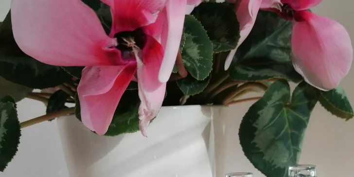 Mokrá i wellness pedikúra, peeling, masáž či lakovanie
