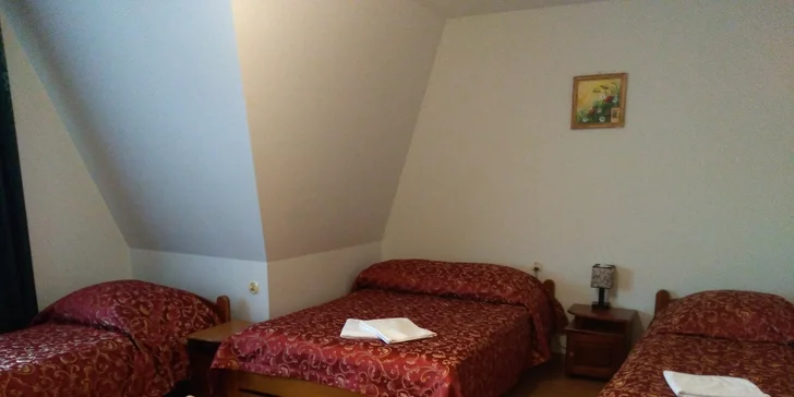 Oddych s wellness a raňajkami alebo polpenziou v poľských Tatrách: vhodné pre páry aj rodiny