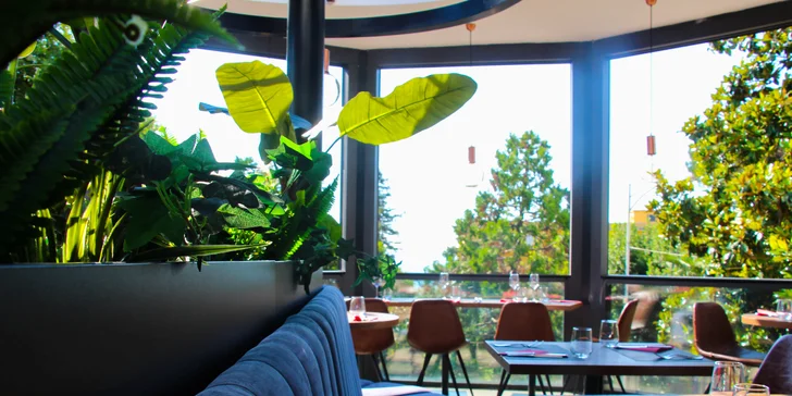 Malebná Istria: azúrové more, 4* hotel, polpenzia a vstup do kasína