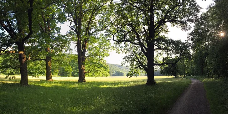 Pobyt s raňajkami alebo polpenziou v mestečku Hradec nad Moravicí