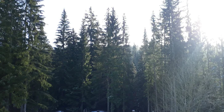 Apartmán Skalka: komfortné ubytovanie v blískosti strediska Park Snow Donovaly
