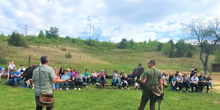 Vstupy a jedinečné sokoliarske zážitky pre deti aj dospelých