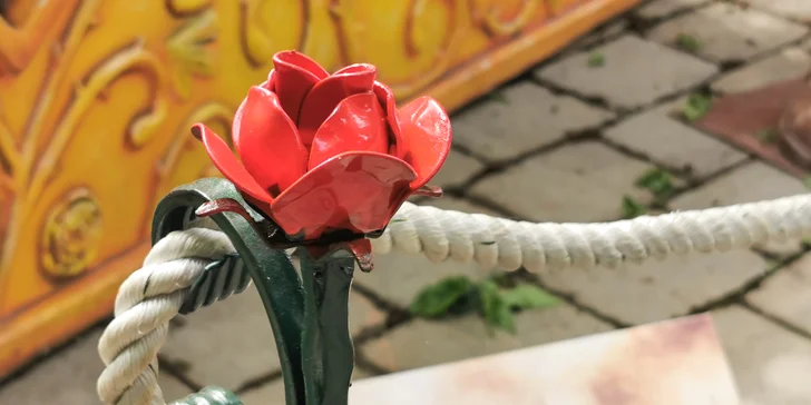 Čarovný rozprávkový les - zážitok pre celú rodinu