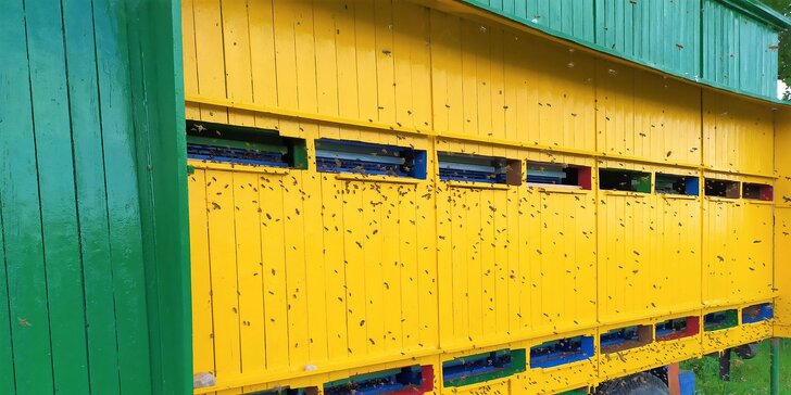 Prehliadka včelej farmy s pobytom v apidomčeku a ochutnávkou včelích produktov