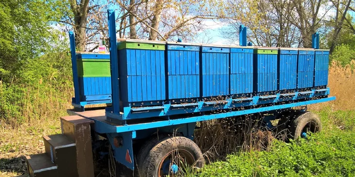 Prehliadka včelej farmy s pobytom v apidomčeku a ochutnávkou včelích produktov