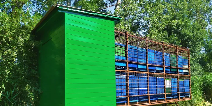 Prehliadka včelej farmy s pobytom v apidomčeku a ochutnávkou včelích produktov
