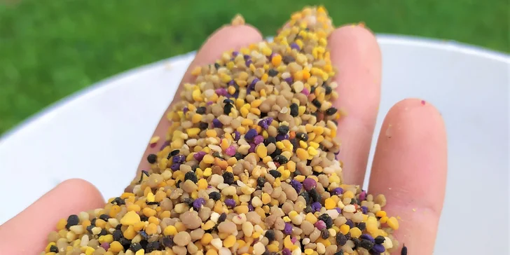 Prehliadka včelej farmy s pobytom v apidomčeku a ochutnávkou včelích produktov