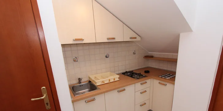 🌞 KÚP teraz, využi v LETE: Pet friendly apartmány na pobreží Istrie