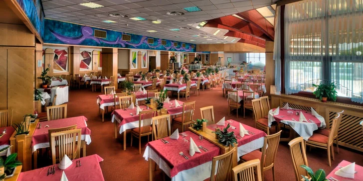 Wellness dovolenka v Slovinsku: 4* hotel v Moravských Topliciach, raňajky a voľný vstup do Terme 3000