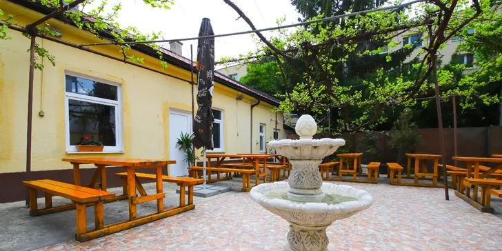 3 druhy domácich burgerov s hranolčekmi, coleslaw šalátom a dresingom