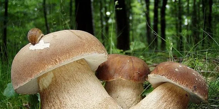 Spoznaj prekrásny kraj Slovenska - Turiec za 3 dni. Využite babie leto a krásne jesenné počasie!