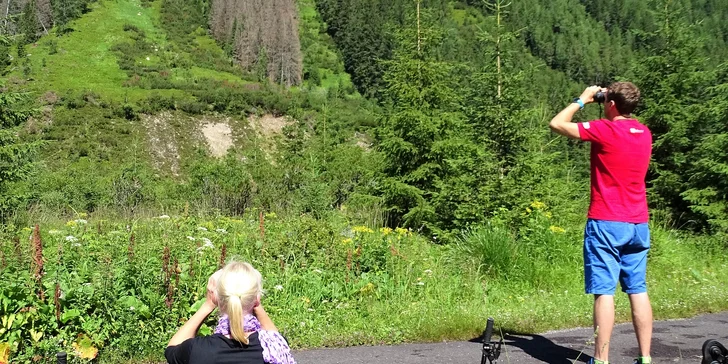 Zážitkové pozorovanie medveďov v Západných Tatrách so sprievodcom a s možnosťou jazdy na elektrobicykli