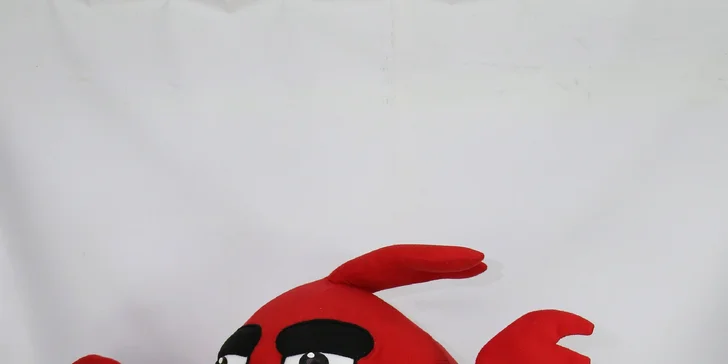 4-hodinový prenájom rozprávkových maskotov na detské oslavy