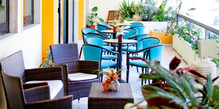 Dovolenka na Palmovej riviére: 3 * hotel s plnou penziou, 30 m od pláže