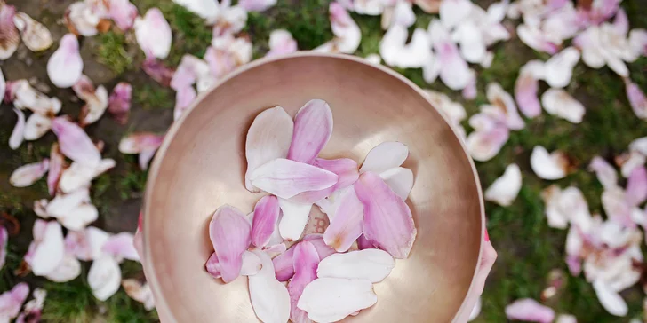 Doprajte si liečivé a relaxačné meditácie z pohodlia domova