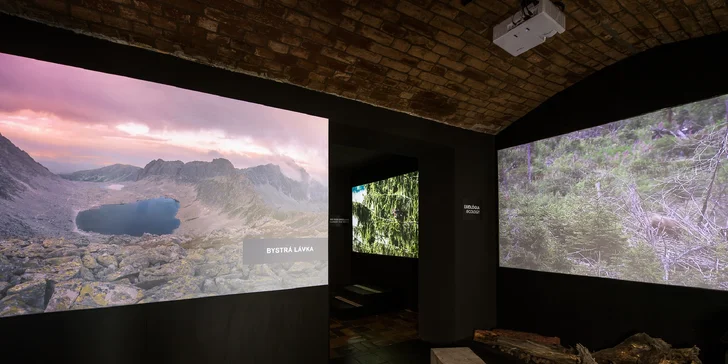 Vstupenky na zážitkovú prehliadku tatranskej prírody v digitálnej galérii TATRY VNÚTRI