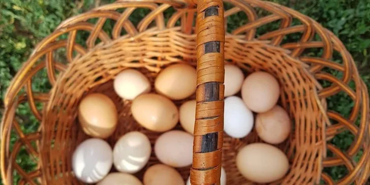 Zážitková dovolenka v prekrásnom rodinnom penzióne na BIO FARME Zlatý Hýľ na úpätí Volovských vrchov