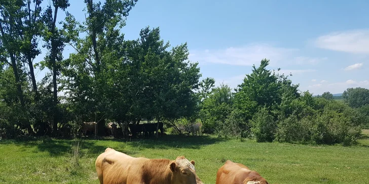 Zážitková dovolenka v prekrásnom rodinnom penzióne na BIO FARME Zlatý Hýľ na úpätí Volovských vrchov
