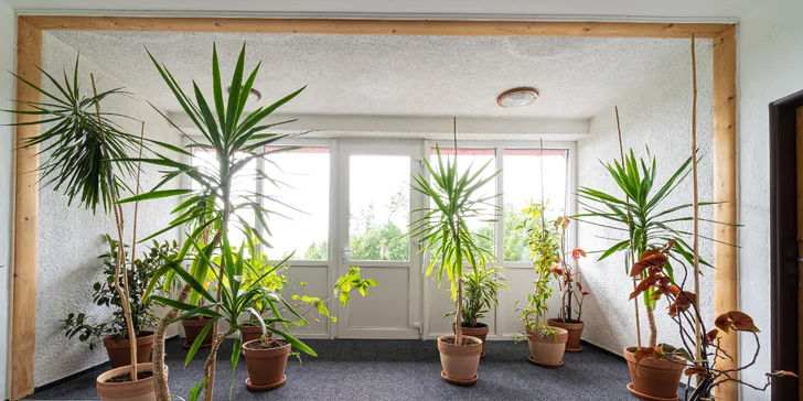Perfektný pobyt pod Tatrami: raňajky a sauna