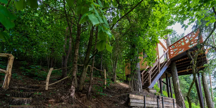 Jedinečné a zážitkové ubytovanie v stromodome "Treehousepinea" s raňajkami v piknikovom košíku