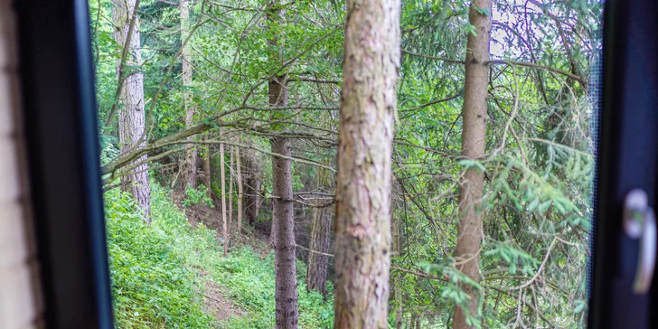 Jedinečné a zážitkové ubytovanie v stromodome "Treehousepinea" s raňajkami v piknikovom košíku