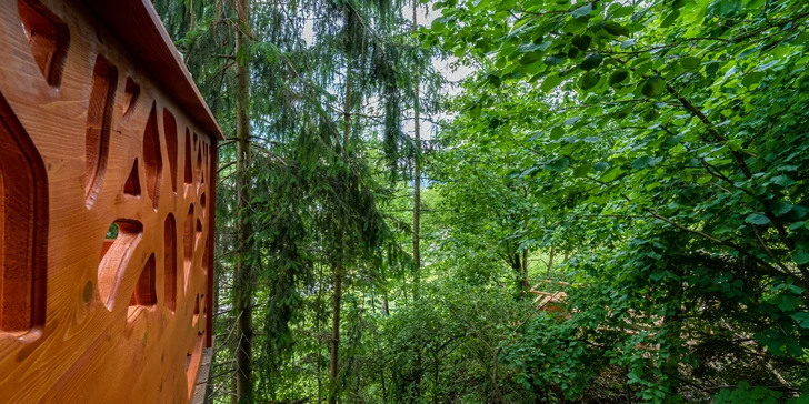 Jedinečné a zážitkové ubytovanie v stromodome "Treehousepinea" s raňajkami v piknikovom košíku
