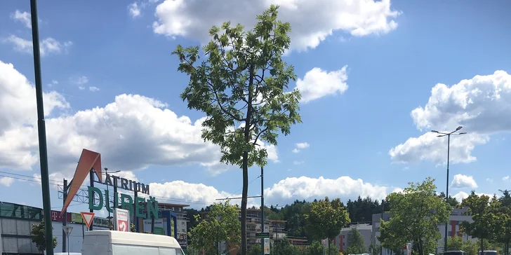 Nadupaná zábava na dennom detskom bowlingovom tábore v Žiline