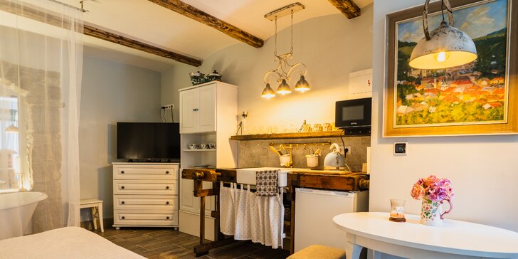Štýlový apartmán v centre historickej Banskej Štiavnice: moderný dizajn, plne vybavená kuchyňa a kúpeľňa, pet friendly