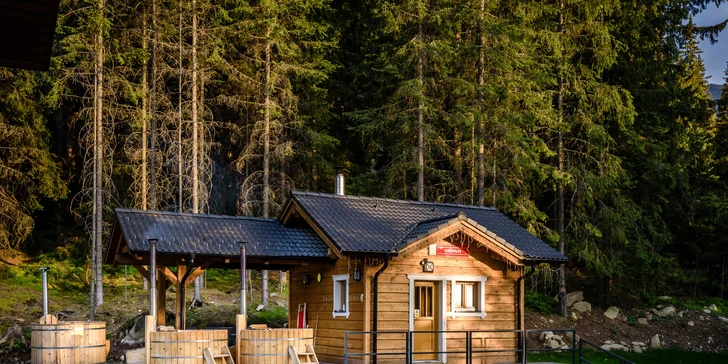 Dovolenka v Jasnej vo Ville alebo Hosteli Björnson s neobmedzeným wellness aj lanovkami a polpenziou v cene voucheru