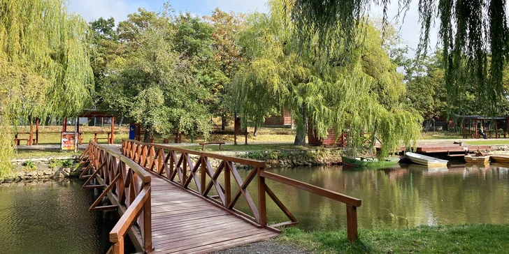 Prvotriedna dovolenka v Maďarsku: chatky alebo hotel s wellness, raňajky aj polpenzia