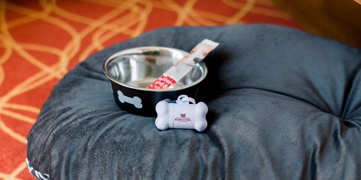 Dovolenka v Maďarsku: adults only hotel s polpenziou a neobmedzeným wellness