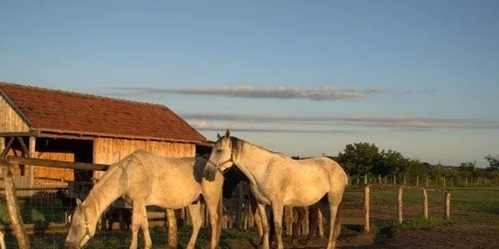 Dokonalý relax na juhoslovenskom vidieku pre 2 osoby s ochutnávkou vín + zvýhodnené podmienky pre deti