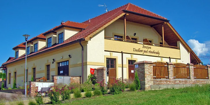 Relax uprostred Lednicko-valtického areálu: skvelá kuchyňa, degustácia vín aj bazén