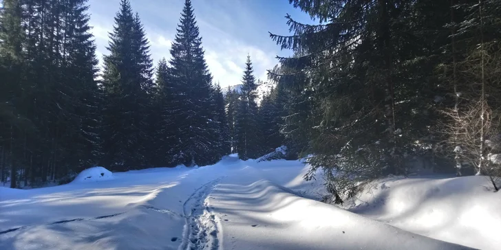 Relax vo Wellness Hoteli Repiská*** v Jasnej v Nízkych Tatrách v tichom horskom prostredí s výhľadom na hrebene Nízkych Tatier