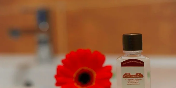 Wellness dovolenka v poľských Tatrách so vstupmi do aquaparku. 2 deti do 12 rokov zadarmo! Platnosť až do novembra 2016