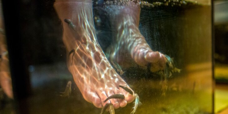 Pripravte svoje nohy na leto - Bio-pedikúra rybičkami GarraRufa