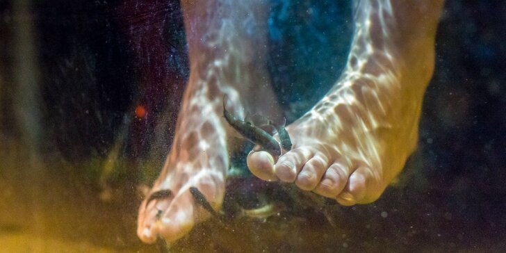 Pripravte svoje nohy na leto - Bio-pedikúra rybičkami GarraRufa