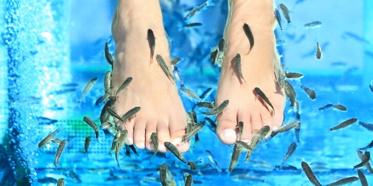 Hladní rybí lekári vyliečia vaše nohy!