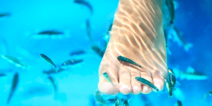 Nechajte rybích lekárov vyliečiť vaše nohy, ba aj celé telo!