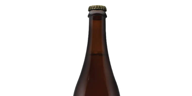 Pravý americký burger s hranolčekmi alebo pivovarská doska + pivo ŽiWELL