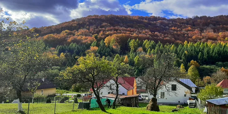 Ničím nerušená rodinná dovolenka na mieste, kde aj líšky dávajú dobrú noc - Babičkin dom pri rodisku Andyho Warhola