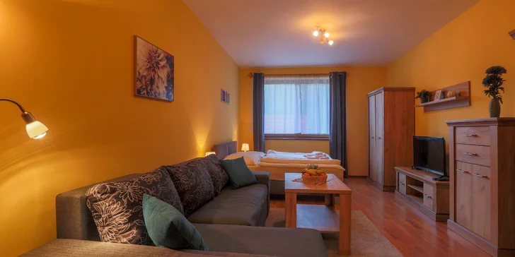 Pobyt v apartmánovom dome Fatrapark na Malinô Brdo